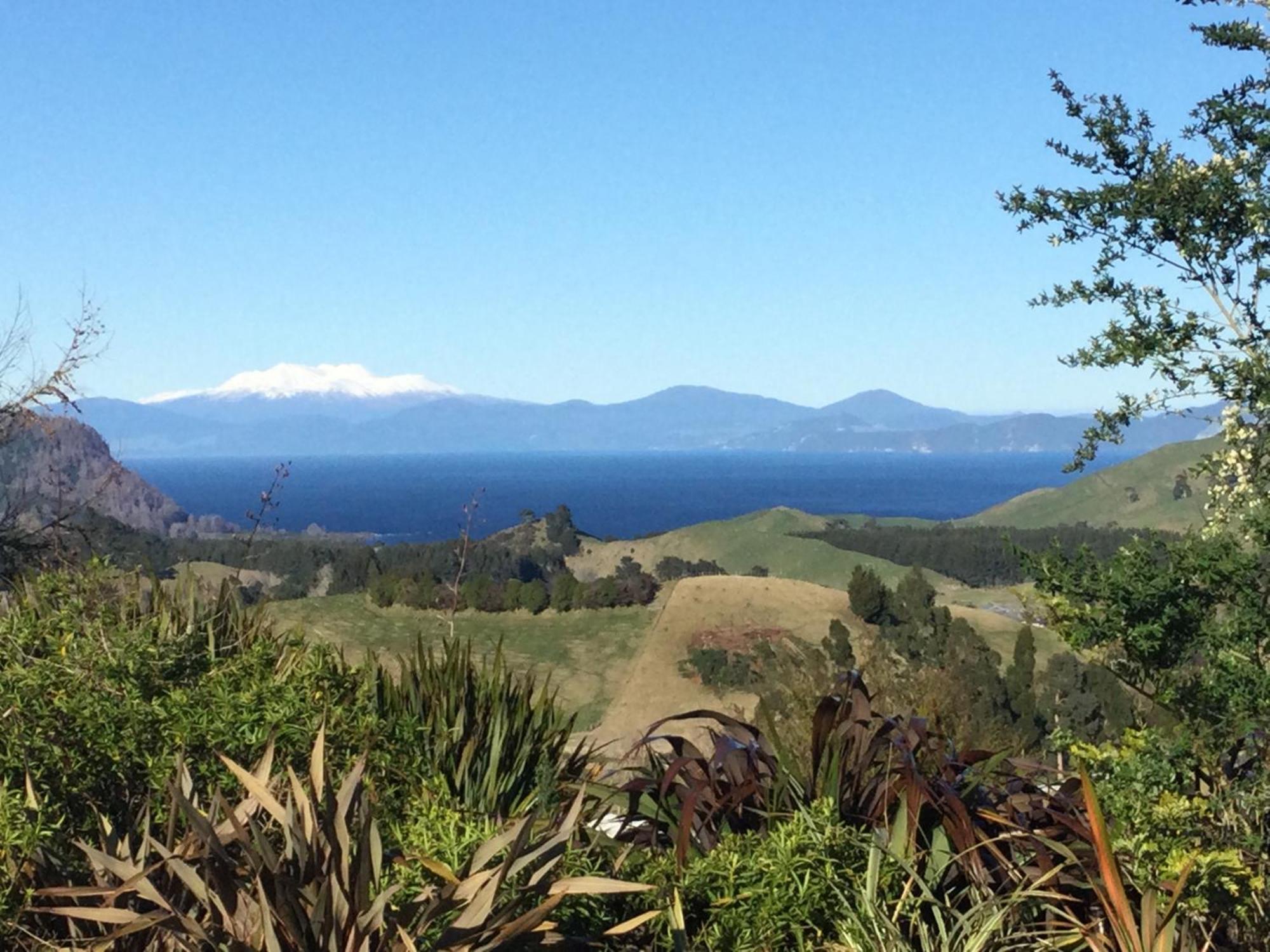 Whakaipo Bay Cabin Retreat Таупо Экстерьер фото